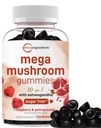 Micro Ingredients Mega Mushroom Gummies | 10-in-1 with Lions Mane, Turkey Tail, Reishi, Cordyceps, Chaga, Maitake, & Ashwagandha | Sugar-Free Raspberry Pomegranate Flavor | Non-GMO | 120 Count