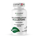 Hallusa Natural Hallchancapiedra 1000 mg Supplement Pure Chanca Piedra for Kidney Stone Breaks, 60 Capsules, Gallbladder & Urinary Tract Support, Non GMO, Gluten Free, Made USA, Dietary Supplement