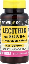 MASON NATURAL Lecithin with KELP, B 6 Plus Cider Vinegar