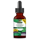 Nature's Answer Alcohol-Free Chlorophyll 50mg 2oz Liquid | Internal Deodorant | Skin and Hair Support | Supports Immune Function, Detoxification | Gluten Free, Non-GMO | Single Count