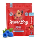 Waterboy Daily Hydration | 1,570mg Electrolyte Powder Packets | No Sugar, All Natural, Gluten Free, Zero Calories | 15 Drink Stick Mixes (Blue Raspberry)