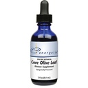 Energetix Core Olive Leaf (2 oz.)