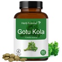 Herb Essential Gotukola Tablets 500mg, 60 Tabs, Ayurvedic Herb Extract