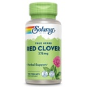 SOLARAY Red Clover 375 mg - Traditional Women's Health Herbal Support - Non-GMO Verified, Vegan, Lab Verified - 60-Day Guarantee - 100 Servings, 100 VegCaps