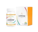 Laminine - Cellular Support Supplement for Overall Wellness, Cognitive Function, and Vitality (30 Count)