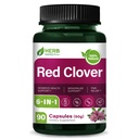 Red Clover Supplement - Non-GMO Capsules for Women's Health Support, Menopause Support & PMS Relief. 90 Capsules