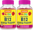 WellYeah Vitamin B12 Gummies for Kids - Boost Energy, Improve Brain Function, and Strengthen Immune System - Non-GMO, Gluten-Free - Great Tasting Berry Flavor - Easy to Chew - 60 Gummies (Pack of 2)