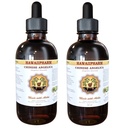 Hawaii Pharm Dong Quai Liquid Extract, Chinese Angelica (Angelica sinensis) Dried Root Tincture Supplement 2x4 oz