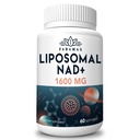 1600 mg Liposomal NAD Supplement, 98% Pure NAD+ Supplement, Superior Absorption, Alternative to Nicotinamide Riboside or NADH to Boost NAD+ for Aging Defense, Energy, Longevity, 60 Softgels