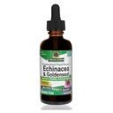Nature's Answer Enchinacea & Goldseal | Supports a Healthy Immune System | Super Concentrated Pure Extract | Alcohol-Free, Gluten-Free, Vegan & Kosher Certified 2oz