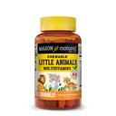 MASON NATURAL Chewable Little Animals Multivitamins for Kids - Children's Daily Multivitamin with Vitamin A, C, D, B1, B2, B3, B6, B12, and Folate - 60 Animal Shaped Chewable Tablets
