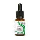Seeking Health Lactase Drops - Liquid Supplement with Dairy Intolerance - Support for Digestion - Lactase Enzyme Supplement - 0.50 Fl oz, 52 Servings