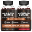 Effective Nutra Mushroom Gummies 2500mg - 10in1 Lion’s Mane, Reishi, Chaga, Cordyceps & More - Focus, Clarity, Memory, Immunity, Energy - Natural Raspberry Flavor, Vegan, Made in USA (2-Pack)