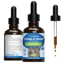 Pet Wellbeing Young at Heart for Cats - Senior Feline Heart Health Support, Cardiovascular Wellness with Hawthorn & Motherwort - NASC Certified & Vet-Formulated - 2 oz Liquid Formula