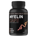 Myelin Caps, Brain Health Supplement, Focus Supplement & Brain Health with AlphaSize, Memory and Cognitive Function Support, Gluten-Free, Non-GMO (90 Capsules)