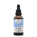 Astragalus USDA Organic Alcohol-Free Extract | Dietary Supplement, High-Potency Tincture | Natural Certified Organic Astragalus (Astragalus membranaceus) Dried Root (2 oz)