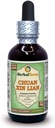 Chuan Xin Lian, Andrographis (Andrographis Paniculata) Glycerite, Dried Herb Alcohol-Free Liquid Extract (Brand Name: HerbalTerra, Proudly Made in USA) 2 fl.oz (60 ml)