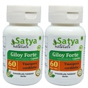 Giloy Forte Capsules 500 mg. 60 Veg. Capsule | Guduchi (Tinospora Cordifolia) Extract Capsules for Men and women | Indian Ayurvedic Herbal Supplement/Remedies (2 Bottles of 60 Capsules)