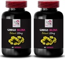 Natural Ginkgo biloba - Ginkgo BILOBA Extract - Herbal antioxidant Supplement, Plant Extract Wellness, Ginkgo biloba Dosage, Botanical antioxidant Support, Ginkgo biloba Benefits 2 Bottles 120 Caps