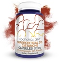 Nootropics Depot Cistanche Supercritical CO2 Extract Capsules | 20% Echinacoside + 20% Verbascoside (Acetoside) | 60 Count