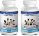 dog urinary incontinence natural remedies - DOG URINARY TRACT SUPPORT - NATURAL CRANBERRY SOLUTION - BLADDER HEALTH - VET RECOMMENDED - corn silk supplement for dogs - 2 Bottle (180 Treats)