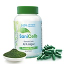 TROYA Sani Cells AFA Blue-Green Algae Capsules | Stem Cells Organic Superfood | Supports Energy, Mental Clarity, and Detoxification | Celulas Madre Joint Support & Muscle Pain - Immune System Support