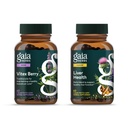 Gaia Herbs Vitex Berry - Support Hormone Balance for Women & a Healthy Menstrual Cycle* - 60ct & Liver Health - Supplement with Milk Thistle, Turmeric Root, Schisandra for Liver Cleanse Support*