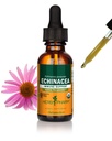 Herb Pharm Certified Organic Echinacea Root Liquid Extract for Immune System Support, Organic Cane Alcohol, 1 Fl Oz - Packaging May Vary