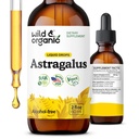 Wild & Organic Astragalus Extract Drops - Immune Support Supplement - 2 oz | Liquid Astragalus Root Supplement - Add to Tea - Mix with Powder - Membranaceus Herb - Vegan, No Sugar, Alcohol-Free Tincture