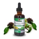 Nature's Answer Alcohol-Free Eleuthero Root, 2-Fluid Ounces
